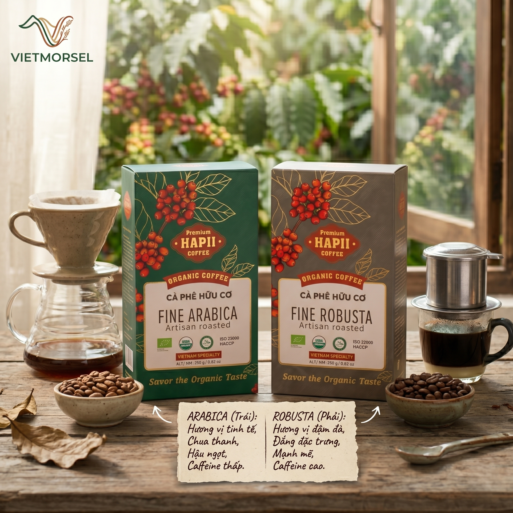 Phân Biệt Cà Phê Arabica và Robusta: Loại Nào Phù Hợp Với Gu Của Bạn?