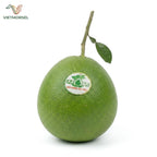 Tan Trieu Pomelo