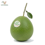 Tan Trieu Pomelo