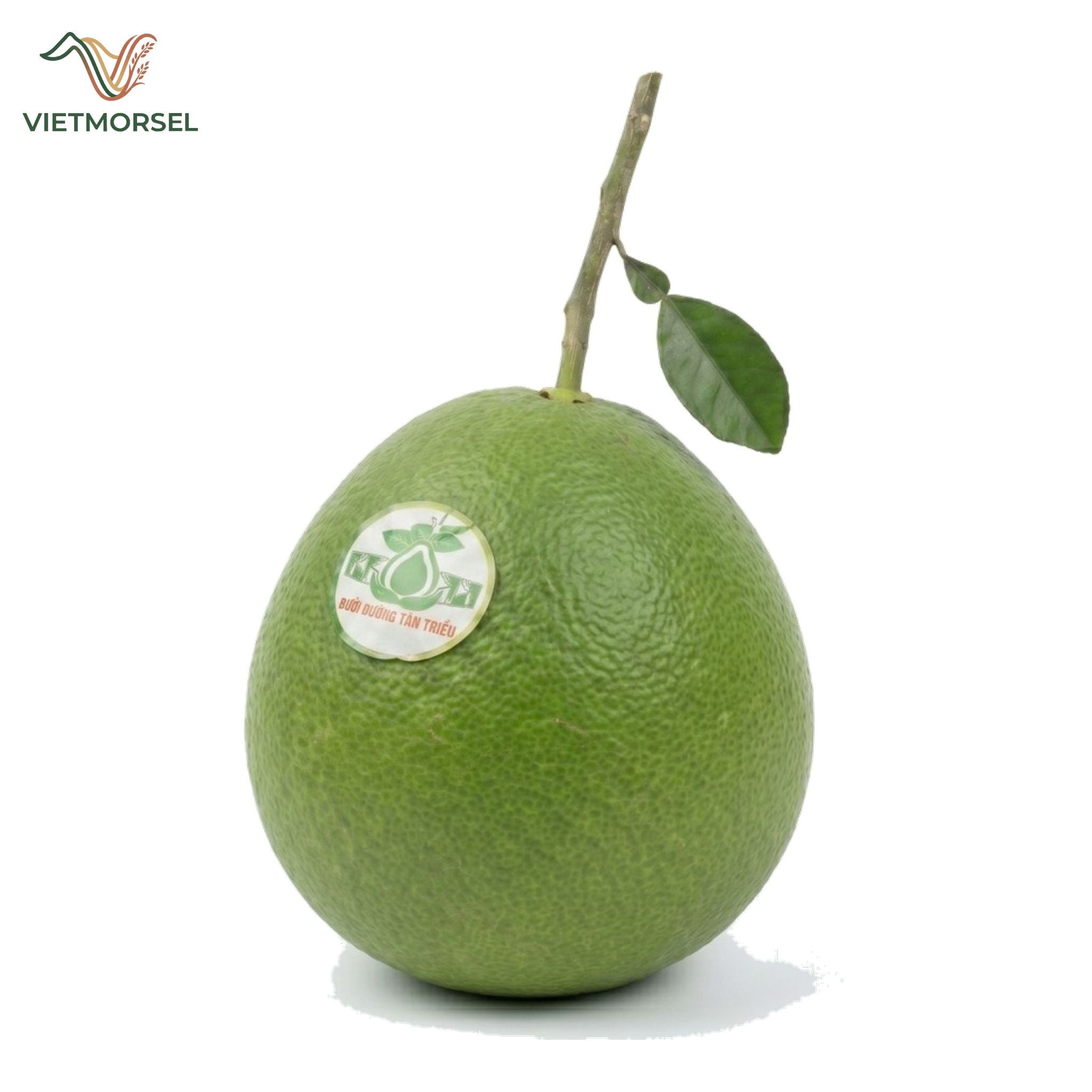 Tan Trieu Pomelo